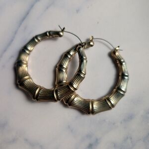 Elegant Gold Hoop Earrings